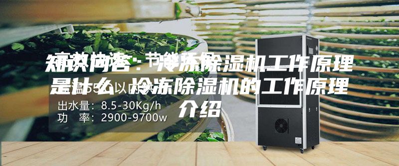 知识问答：冷冻除湿机工作原理是什么 冷冻除湿机的工作原理介绍