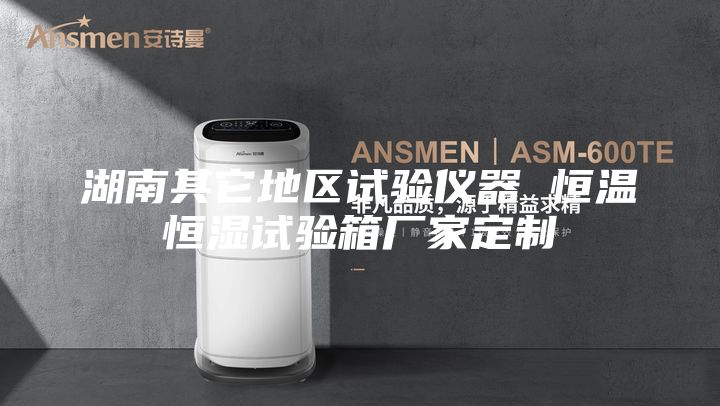湖南其它地区试验仪器 恒温恒湿试验箱厂家定制