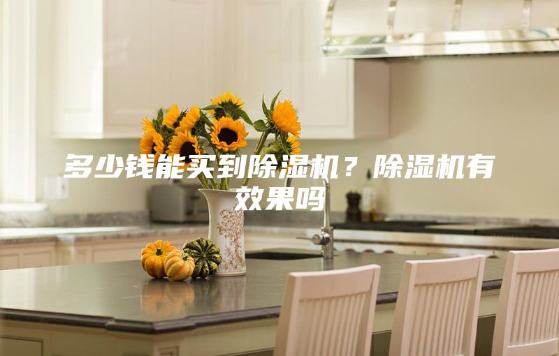 多少钱能买到除湿机？除湿机有效果吗