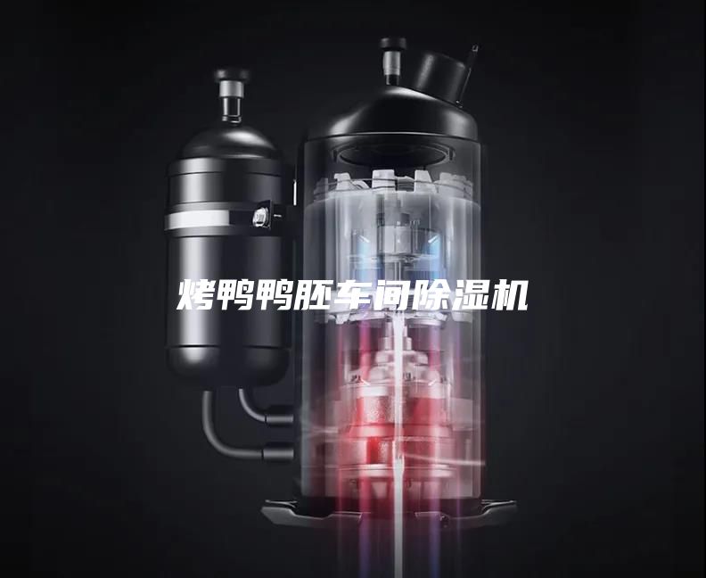 烤鸭鸭胚车间除湿机