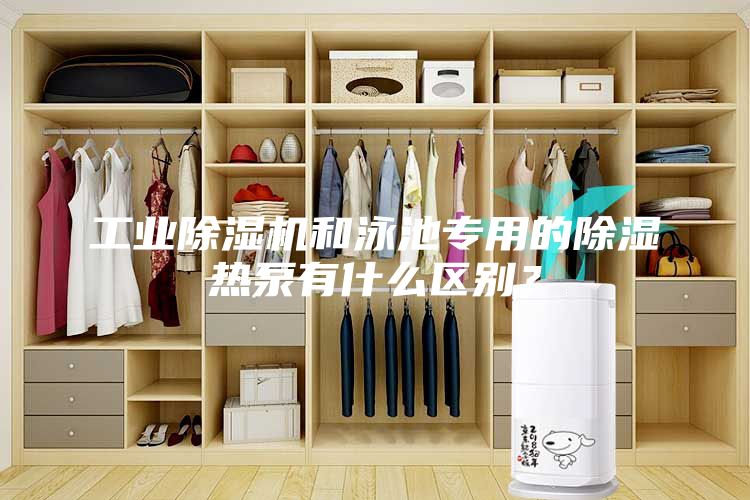 工业除湿机和泳池专用的除湿热泵有什么区别？