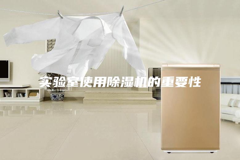 实验室使用除湿机的重要性