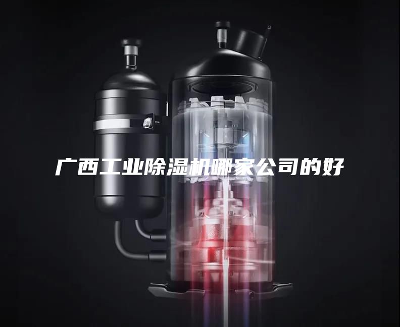 广西工业除湿机哪家公司的好