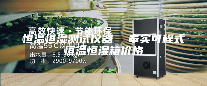 恒温恒湿测试仪器  奉实可程式恒温恒湿箱价格