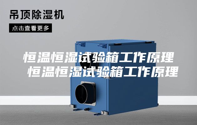 恒温恒湿试验箱工作原理 恒温恒湿试验箱工作原理