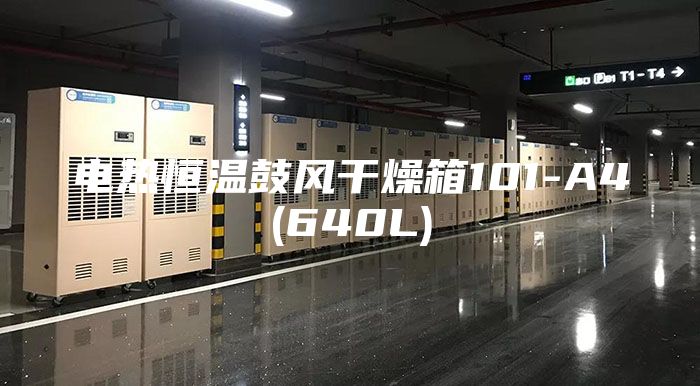 电热恒温鼓风干燥箱101-A4(640L)