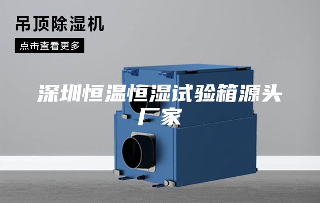 深圳恒温恒湿试验箱源头厂家