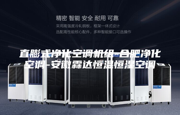 直膨式净化空调机组-合肥净化空调-安徽霖达恒温恒湿空调
