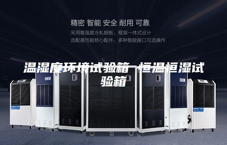 温湿度环境试验箱 恒温恒湿试验箱