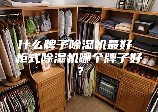 什么牌子除湿机最好 柜式除湿机哪个牌子好？