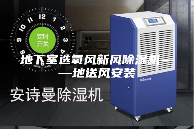 地下室选氧风新风除湿机——地送风安装