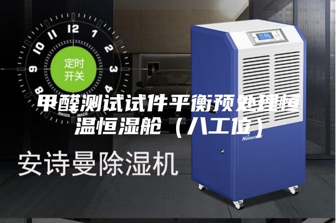 甲醛测试试件平衡预处理恒温恒湿舱（八工位）