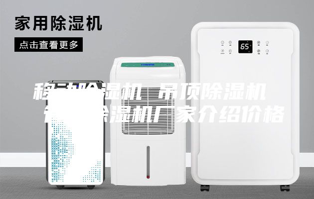移动除湿机 吊顶除湿机  管道除湿机厂家介绍价格