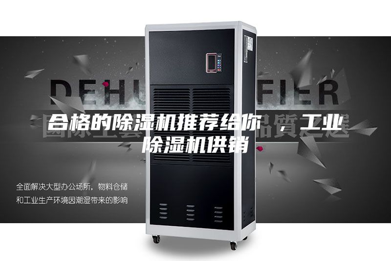 合格的除湿机推荐给你 ，工业除湿机供销