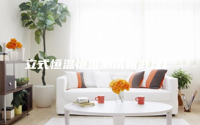 立式恒温恒湿测试箱武汉厂