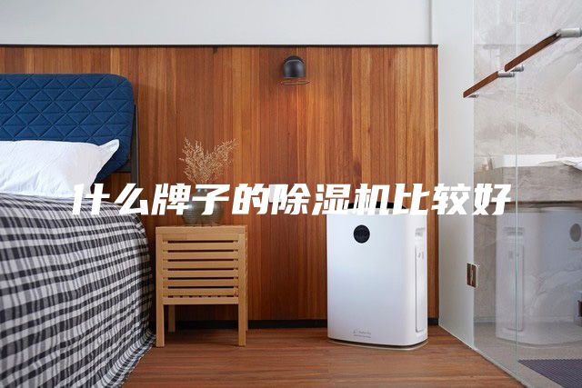什么牌子的除湿机比较好