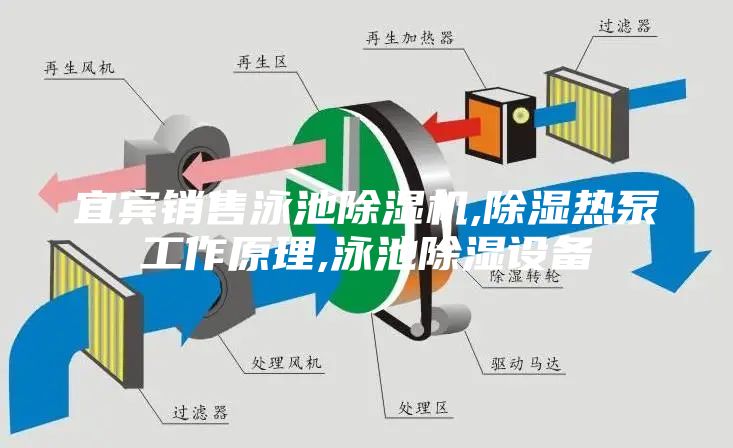 宜宾销售泳池除湿机,除湿热泵工作原理,泳池除湿设备