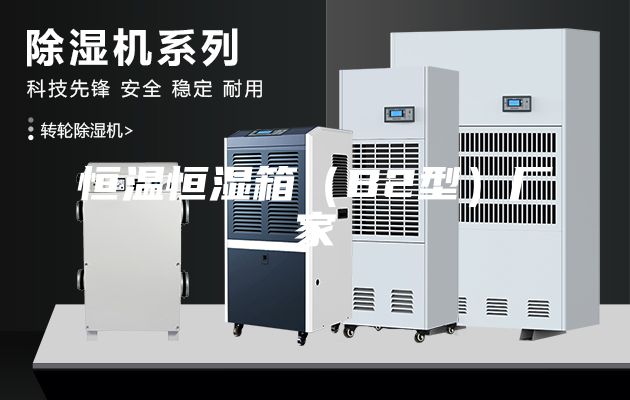 恒温恒湿箱（B2型）厂家