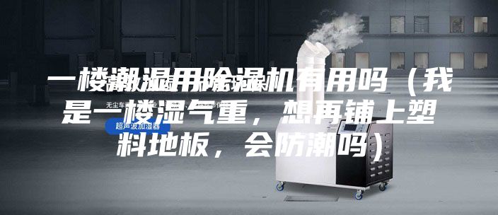 一楼潮湿用除湿机有用吗（我是一楼湿气重，想再铺上塑料地板，会防潮吗）
