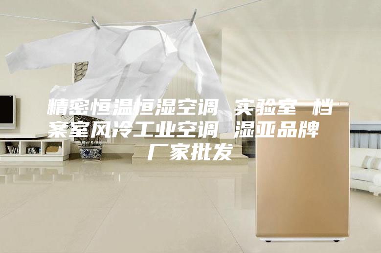 精密恒温恒湿空调 实验室 档案室风冷工业空调 湿亚品牌 厂家批发