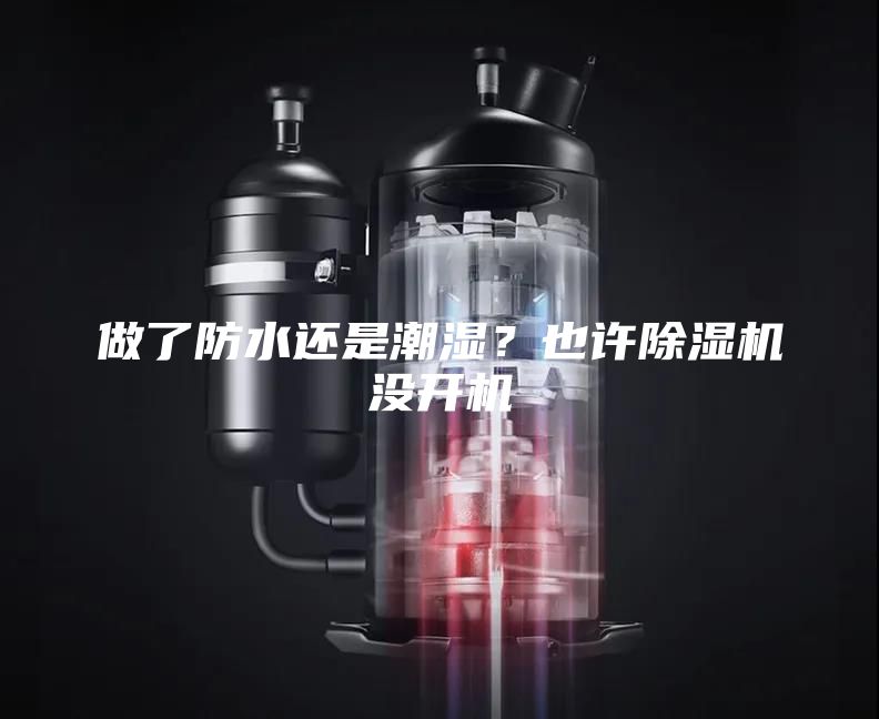 做了防水还是潮湿？也许除湿机没开机