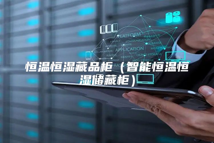 恒温恒湿藏品柜(智能恒温恒湿储藏柜)