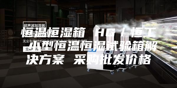 恒温恒湿箱 HG/恒工 小型恒温恒湿试验箱解决方案 采购批发价格