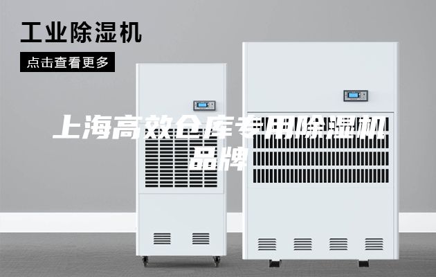 上海高效仓库专用除湿机品牌