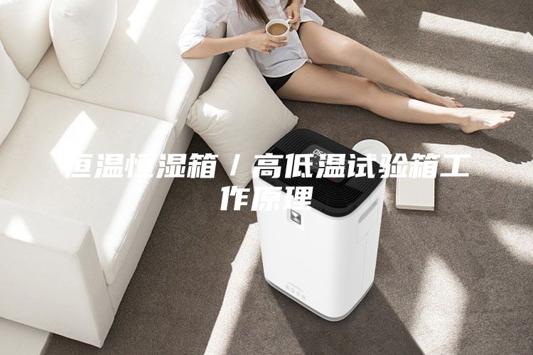 恒温恒湿箱／高低温试验箱工作原理