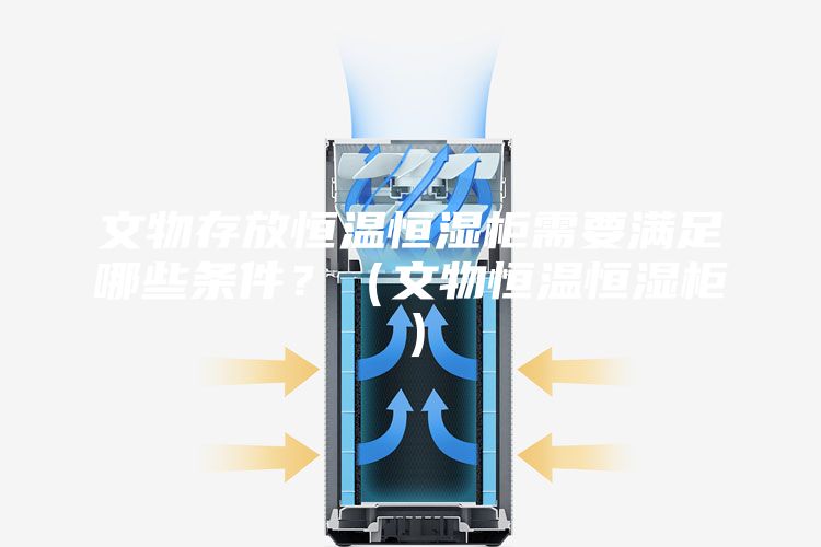 文物存放恒温恒湿柜需要满足哪些条件？（文物恒温恒湿柜）