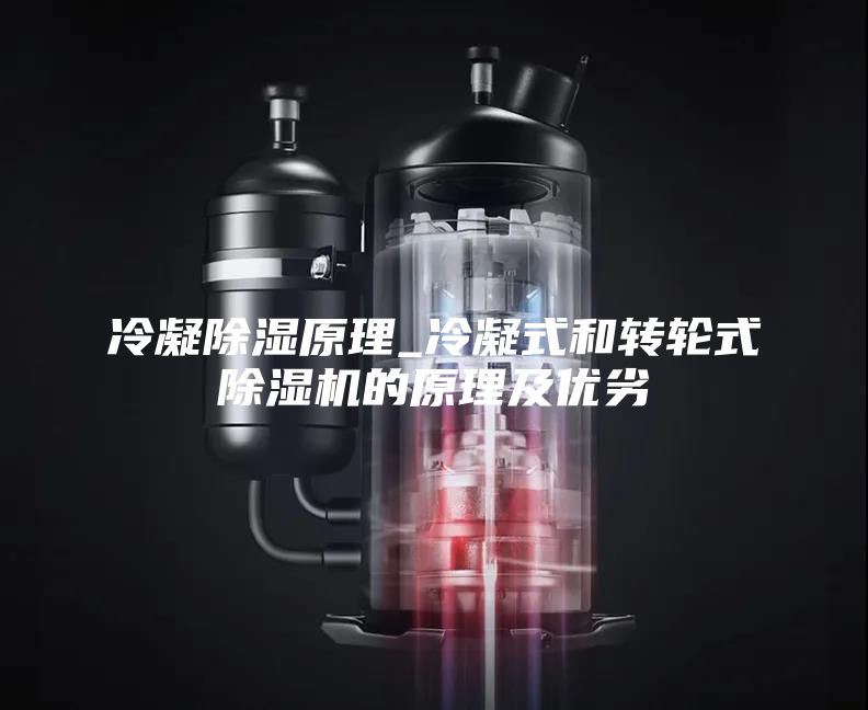 冷凝除湿原理_冷凝式和转轮式除湿机的原理及优劣