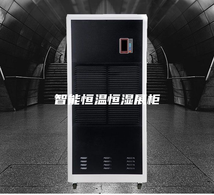 智能恒温恒湿展柜