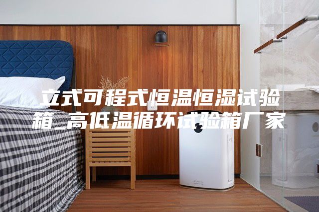 立式可程式恒温恒湿试验箱_高低温循环试验箱厂家