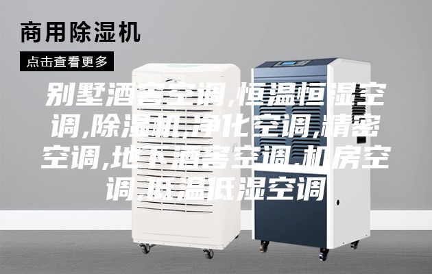 别墅酒窖空调,恒温恒湿空调,除湿机,净化空调,精密空调,地下酒窖空调,机房空调,低温低湿空调