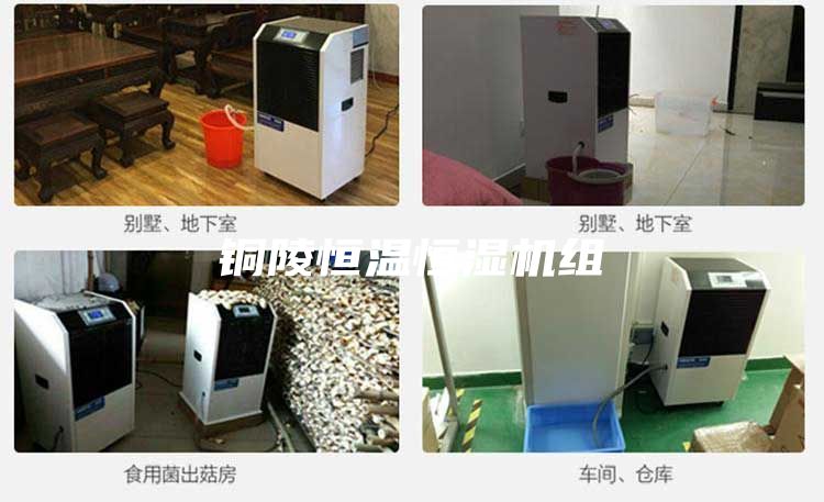 铜陵恒温恒湿机组