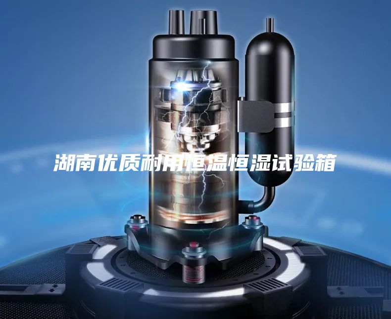 湖南优质耐用恒温恒湿试验箱