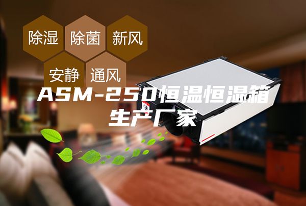 ASM-250恒温恒湿箱生产厂家